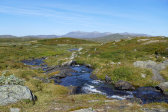 Stream 2