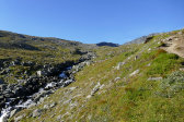 Stream 5