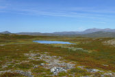 Tarn 1