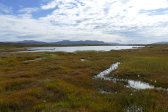 Tarn 5