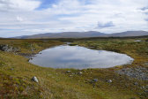 Tarn 7