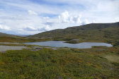 Tarn 9