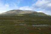 Tent 5