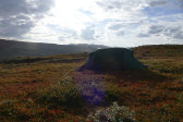 Tent 6