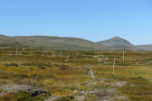 Trail 10