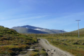 Trail 11