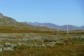 Trail 1