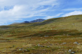 Trail 2