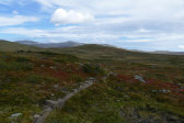 Trail 3