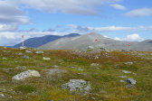 Trail 1