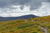 Trail 2