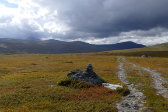 Trail 3