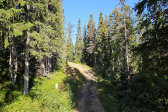 Trail 1