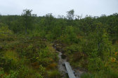 Trail 1