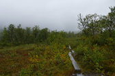 Trail 2