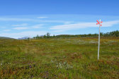 Trail 2