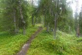 Trail 9