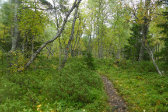 Trail 10