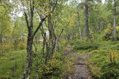 Trail 12