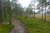 Trail 13