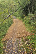 Trail 14