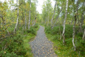 Trail 15