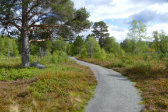 Trail 17
