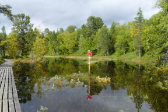 Trail 18