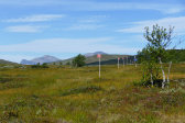Trail 4