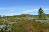 Trail 5