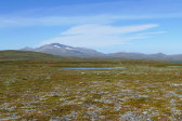 Trail 6