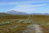 Trail 7
