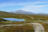 Trail 8