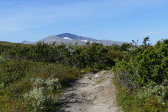 Trail 9