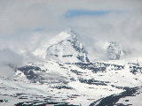 Sealgg� 1