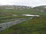 Bridge 5