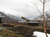 Buds 1