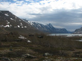 Cottages 7