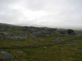Fjelds 1