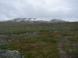 Fjelds 2