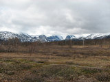Fjelds 1
