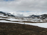 Fjelds 1
