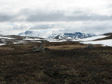Fjelds 2