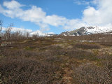Fjelds 1