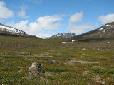 Fjelds 2