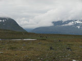 Hikers 1