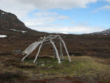Hut 1