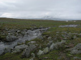 Stream 2