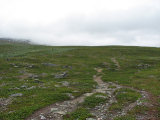 Trail 4