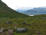 Trail 6